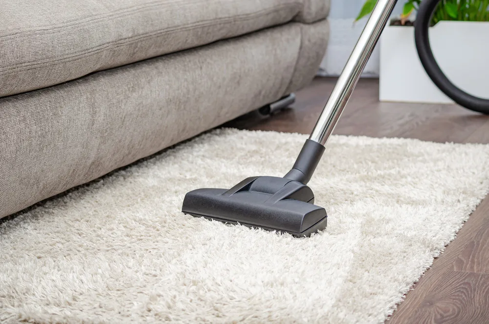 How to Protect Your Rugs from Moisture, Mold & Musty Odor