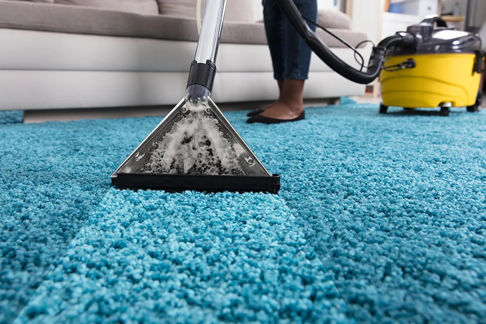 Best Carpet and Rug Cleaner Solutions for Fresh Floors